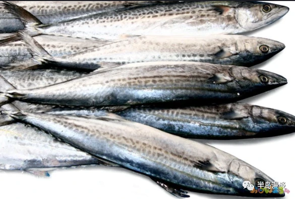 家常清蒸鸦片鱼的做法_清蒸鸦片鱼图片无水印_清蒸鸦片鱼步骤