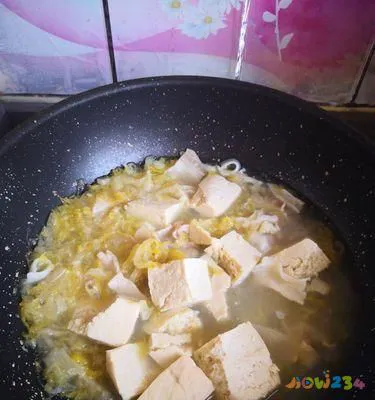 白菜炖粉条的家常做法_炖白菜粉条图片_炖白菜家常做法粉条窍门