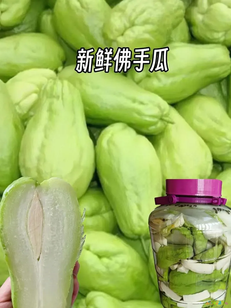 芝士焗南瓜家常做法_蜜汁南瓜家常做法_南瓜家常做法