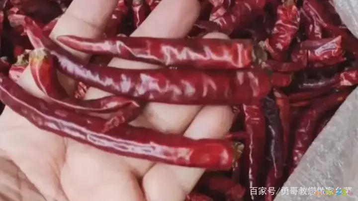 鸡肉面条的家常做法_面条鸡肉家常做法窍门_面条鸡肉家常做法视频