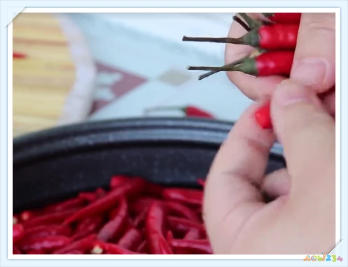 水果辣酱的家常做法_家常辣酱的做法_家常自制香辣酱的做法