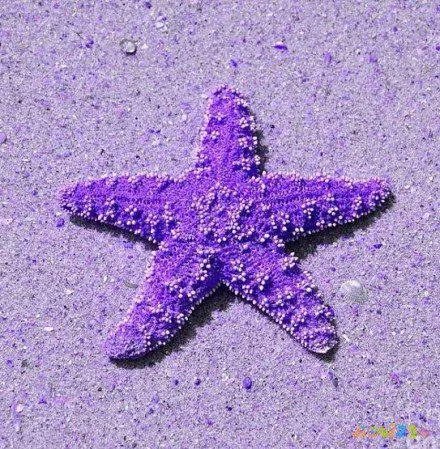 家常小炒食谱_200道家常小炒_家常小炒100大全窍门