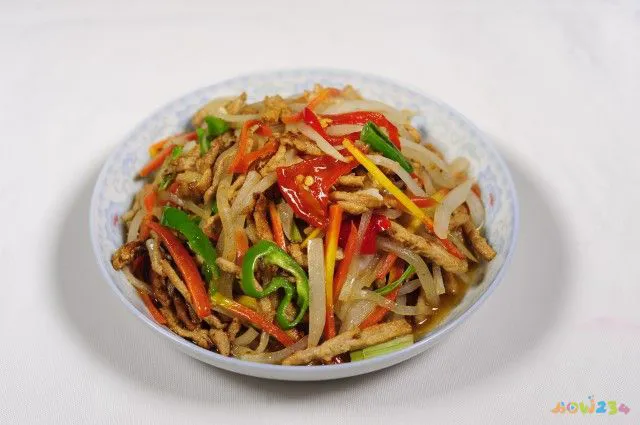 萝卜炖肉的家常做法_炖肉的家常做法_豆角炖肉的家常做法