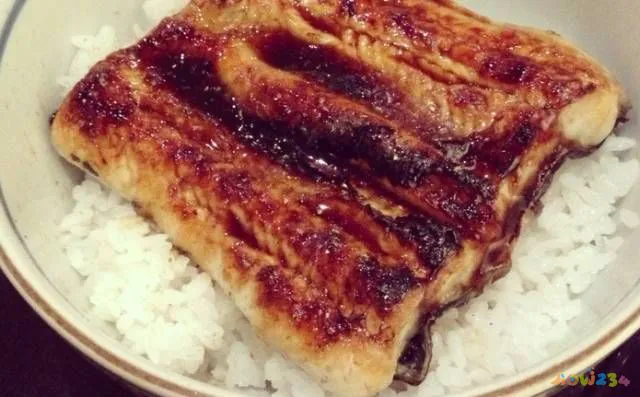 鳗鱼 做法_红烧鳗鱼干的家常做法_鳗鱼的家常做法