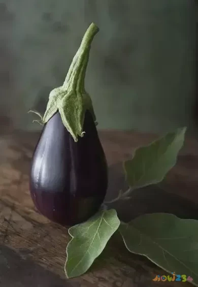 鱼香茄子家常做法_茄子的家常做法_茄子家常做法简单又好吃