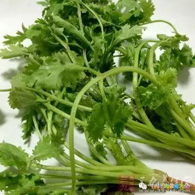 小炖肉的家常做法_炖肉的家常做法_家常白菜炖肉做法