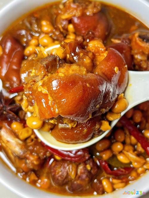 炖猪肘子的家常做法_炖猪肘子怎么做又烂又好吃_炖猪肘子怎么做好吃法视频