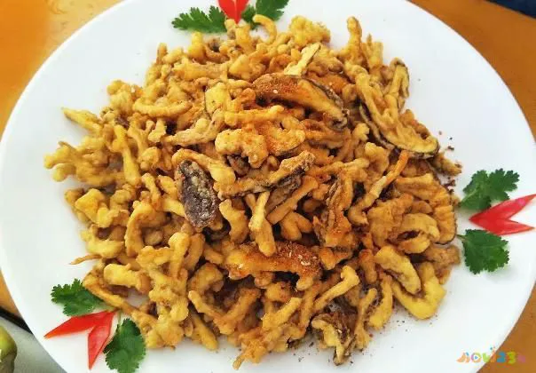 香菇炖鸡家常做法_家常香菇炖鸡的做法大全_怎样做香菇炖鸡窍门