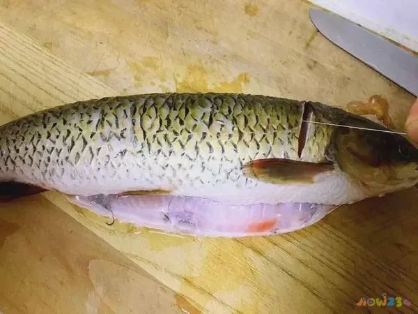 炖豆腐家常做法草鱼窍门_豆腐炖草鱼怎么做好吃又简单_草鱼炖豆腐的家常做法