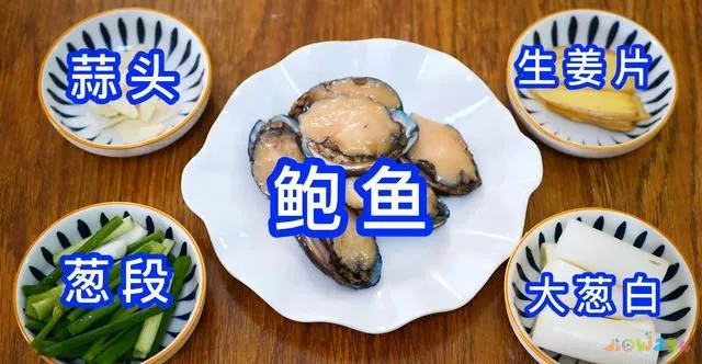 葱烧海参的家常做法_葱烧海参的做法 家常做法视_葱烧海参家常做法视频