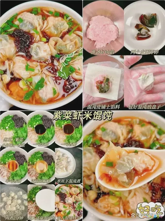 馄饨馅儿的做法视频_正宗馄饨馅视频教程_家常馄饨馅的做法