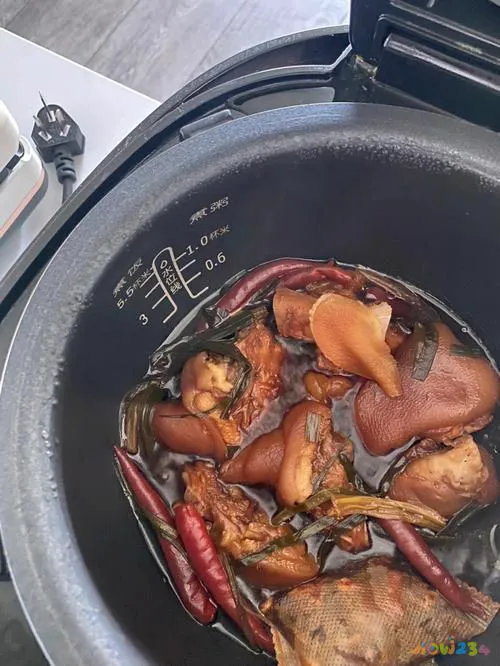 怎样炖肘子色香味俱全_家常炖肘子_家庭炖肘子