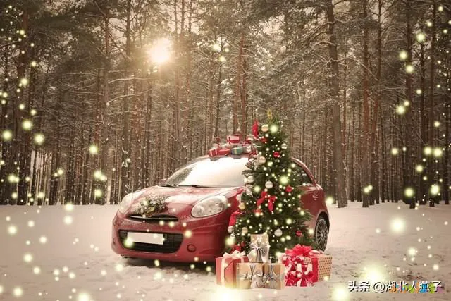 木耳炒素鸡翅的做法大全家常_家常炒青椒怎么炒好吃_素炒青菜家常