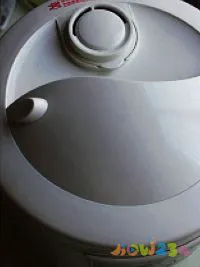 电饭锅排骨焖饭_电饭锅焖饭的家常做法_电饭锅焖饭的做法大全