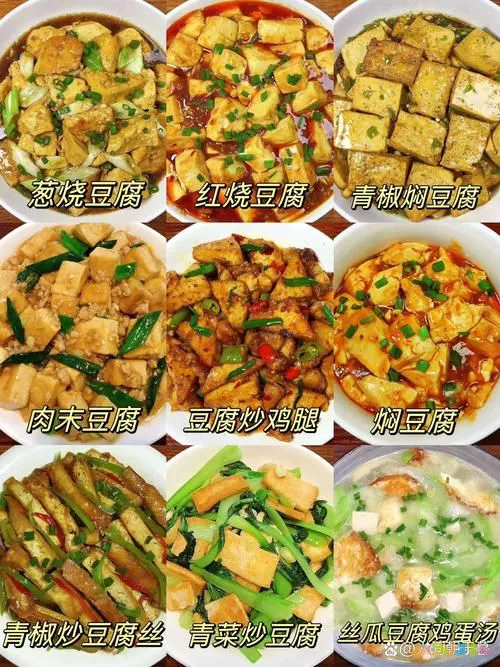 家常豆腐_豆腐家常菜谱大全及做法_豆腐家常菜