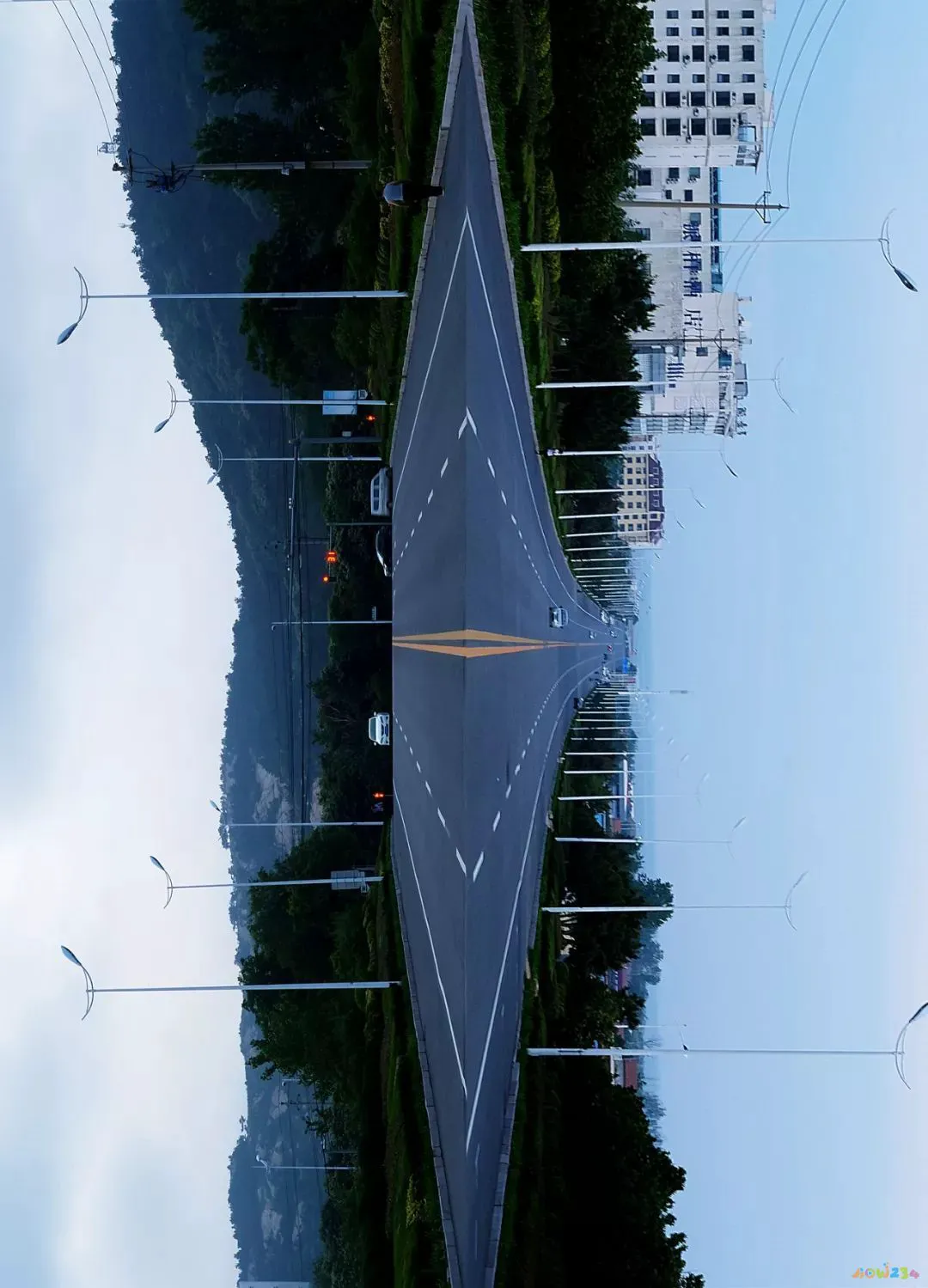 清蒸鸦片鱼图片无水印_家常清蒸鸦片鱼的做法_家常做法清蒸鱼鸦片怎么做