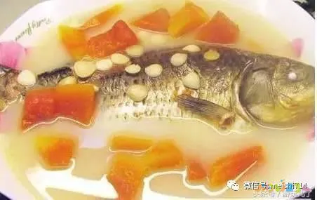 花蛤炒冬瓜的家常做法_清炒冬瓜花_炒冬瓜的吃法