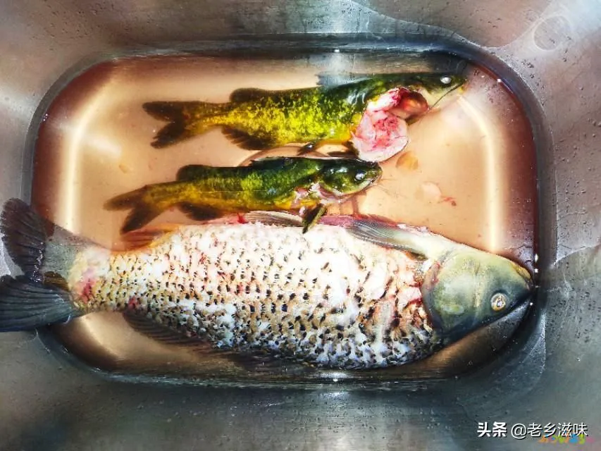 三道鳞鱼的家常做法_鳞炸鲫鱼做法大全家常_炖三道鳞的家常做法图