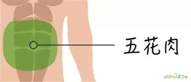 文怡家常菜 红烧肉_记住我忘记我_包饺子买什么部位猪肉