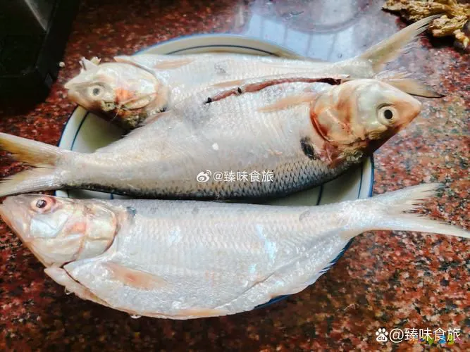 淋香酥鲫鱼的做法_淋炸鲫鱼的家常做法_炸鱼淋汁