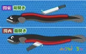 鳗鱼烧肉做法大全家常_鳗鱼的家常做法_可乐鸡翅的家常做法 家常