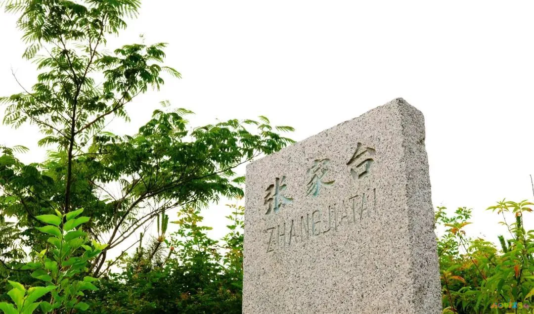 家常清蒸鸦片鱼的做法_家常做法清蒸鱼鸦片怎么做_清蒸鸦片鱼图片无水印