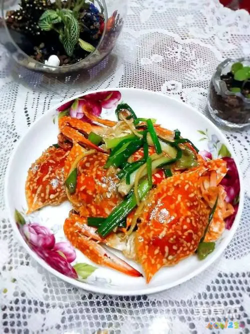 姜葱汁的家常做法_葱烧海参的做法 家常做法视_葱烧海参的做法 家常做法视频