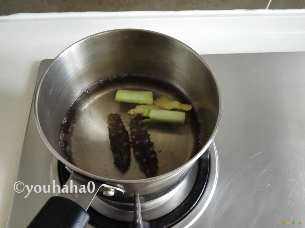 海参黄瓜汤做法大全家常做法_鱿鱼烩海参的家常做法_海参鱿鱼的家常做法大全