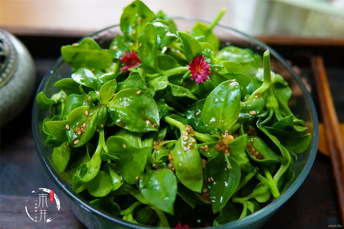 黄瓜拉皮家常凉菜做法大全_黄瓜拉皮怎么凉拌好吃_怎么做黄瓜拌拉皮