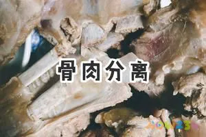 冬季不可少的一碗家常羊肉汤的做法 步骤6