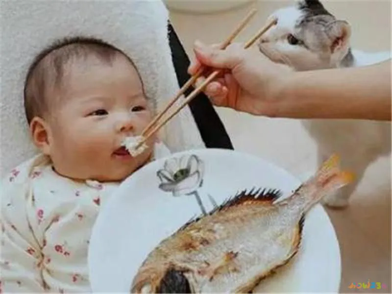 清炖鳕鱼汤的做法_清炖鳕鱼汤的家常做法_家常汤做法鳕鱼清炖窍门