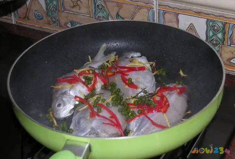 清蒸鲈鱼的家常做法_海鲈鱼做法大全家常_家常梭鲈鱼的做法