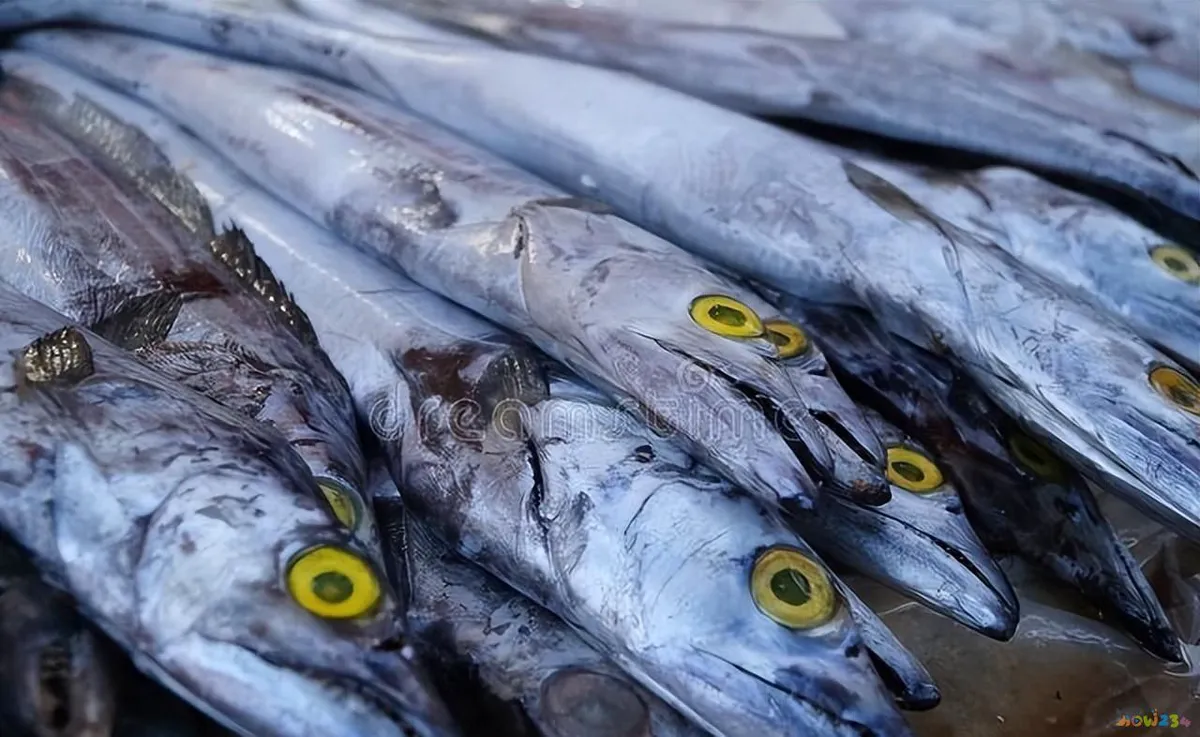 简单红烧带鱼做法_家常红烧带鱼的做法_家常红烧做法带鱼怎么做