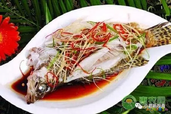鱼清炖的做法_清炖鱼的家常做法_鱼清炖怎么好吃