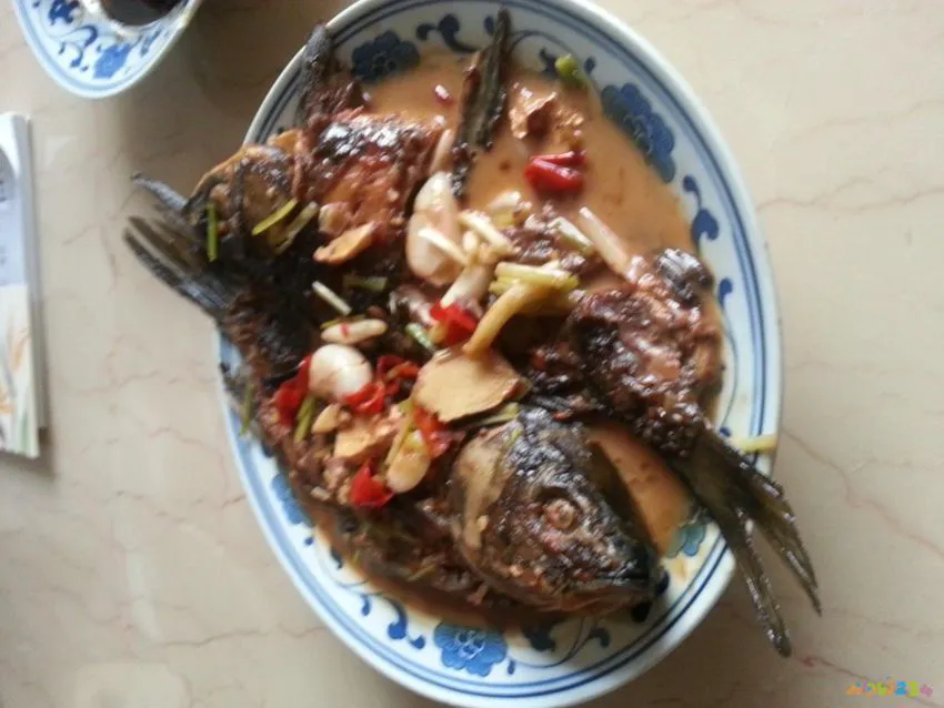 家常炖鲫鱼_豆腐炖鲫鱼的家常做法_炖鲫鱼的家常做法