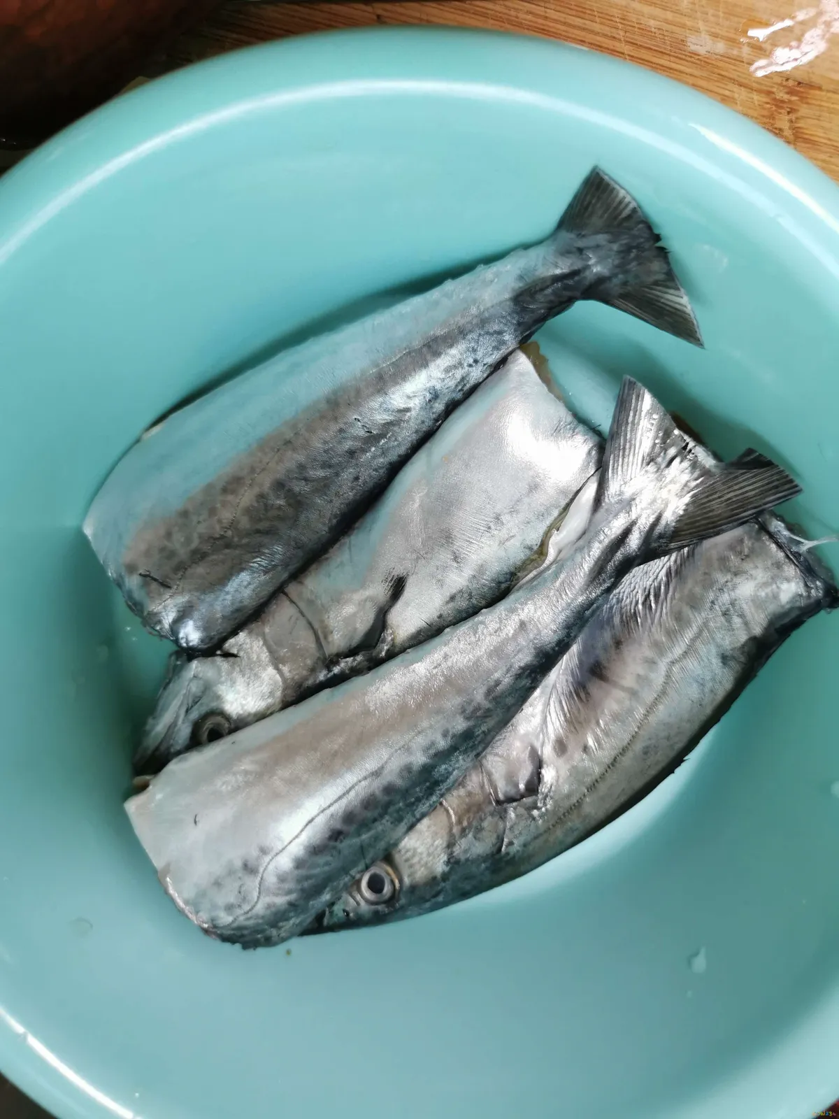 红烧鲅鱼块的家常做法_家常红烧做法鲅鱼怎么做_家庭红烧鲅鱼做法