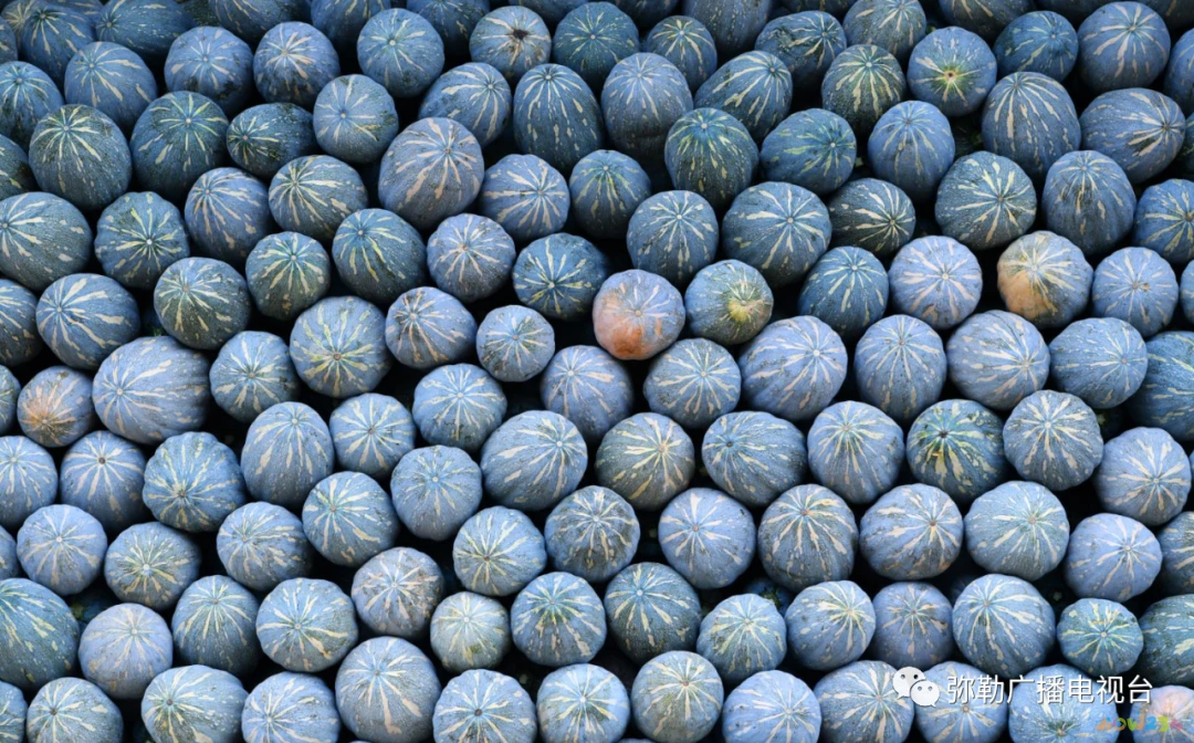 家常爽口菜_天天饮食十年典藏家常保健菜_10元家常菜