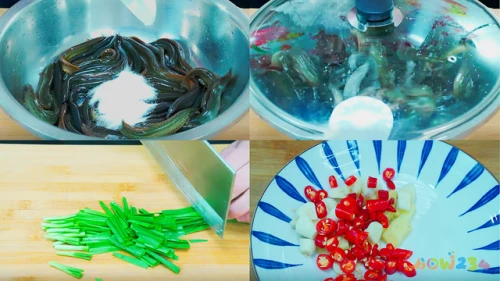 鸡脯肉做法大全家常_家常肉菜做法大全_蒜苗炒肉做法大全家常