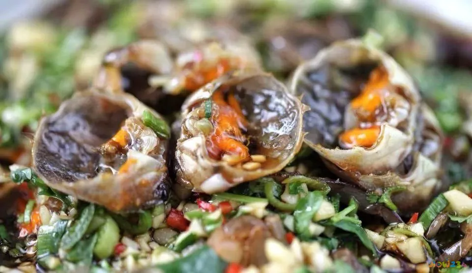 梅花参烹制_家常做法梅花参怎么做_梅花参的家常做法