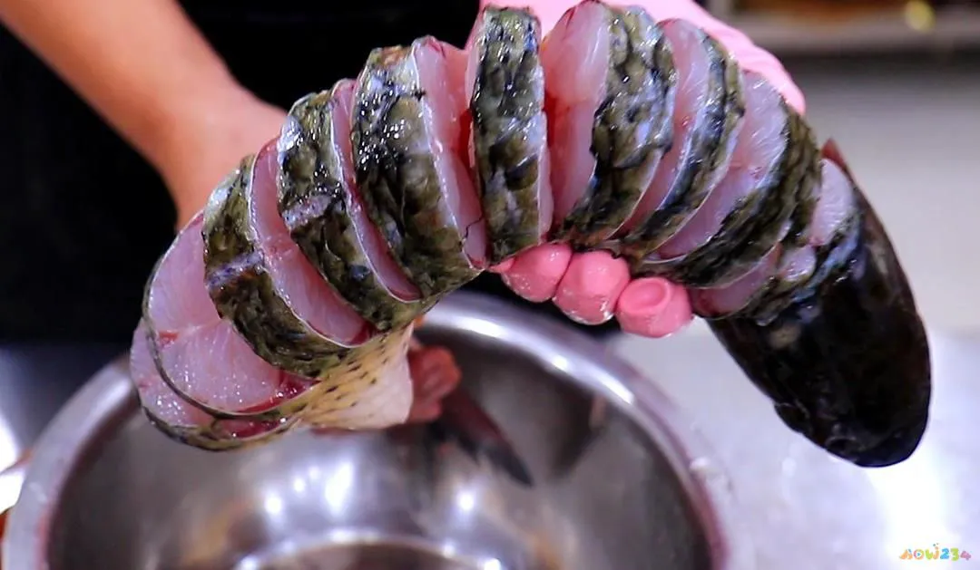 炖豆腐家常做法草鱼窍门_炖豆腐家常做法草鱼视频_草鱼炖豆腐的家常做法