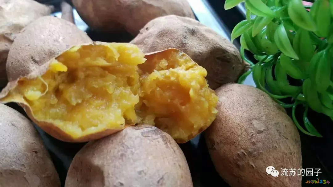 家常厚甜饼的做法_甜饼芋头的做法_家常鳕鱼做法大全家常