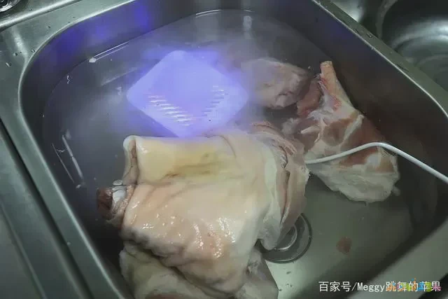 家常炖肘子_家庭炖肘子_怎样炖肘子色香味俱全