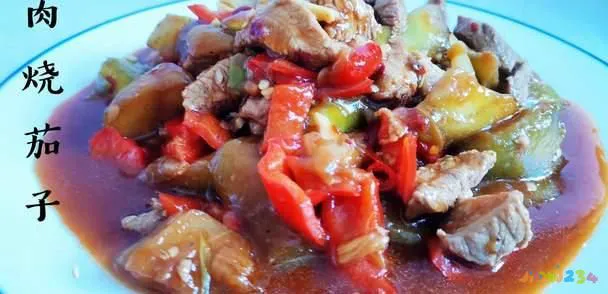 肉沫茄子的做法 家常_肉炒茄子家常做法大全_肉烧茄子的家常做法