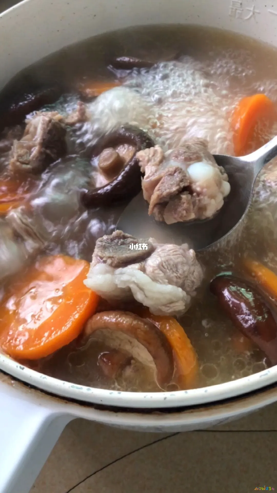 炖排骨的家常做法_炖排骨家常做法大全_炖排骨家常做法清炖