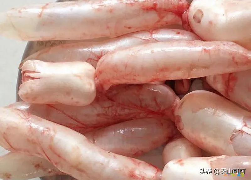 干鱼肚的家常做法_如何做干鱼肚_干鱼肚的家常做法窍门