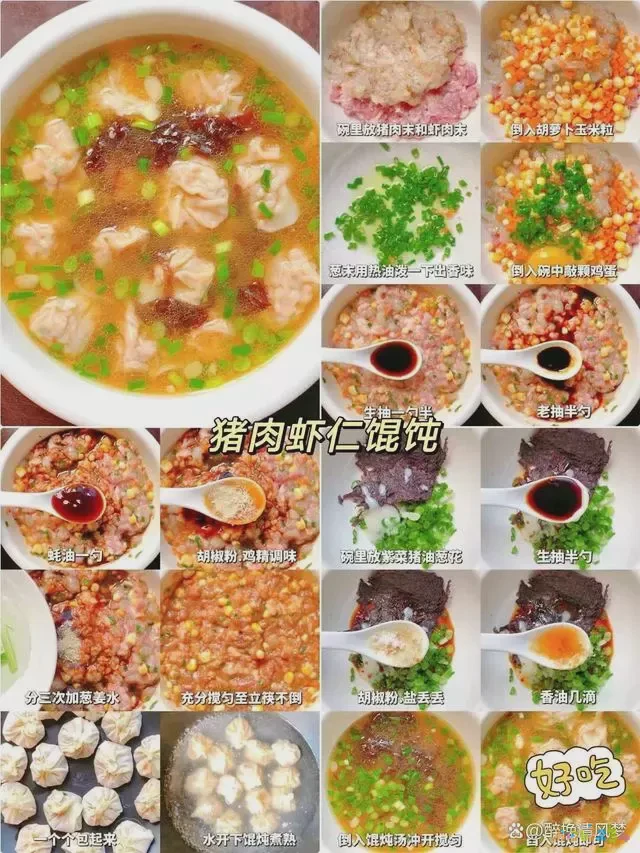 馄饨馅儿的做法视频_正宗馄饨馅视频教程_家常馄饨馅的做法