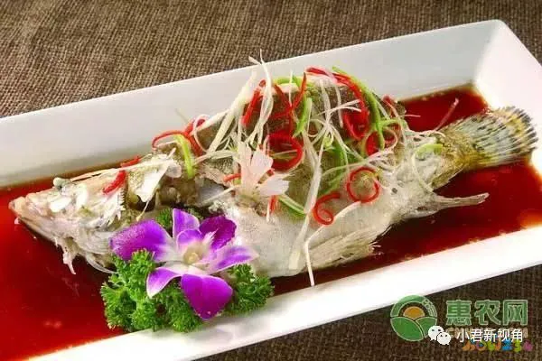 清炖鱼的家常做法_鱼清炖怎么好吃_鱼清炖的做法