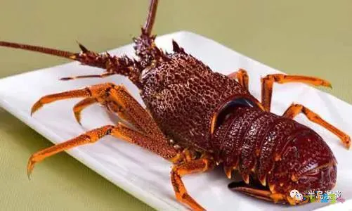 家常清蒸鸦片鱼的做法_清蒸鸦片鱼图片无水印_清蒸鸦片鱼步骤