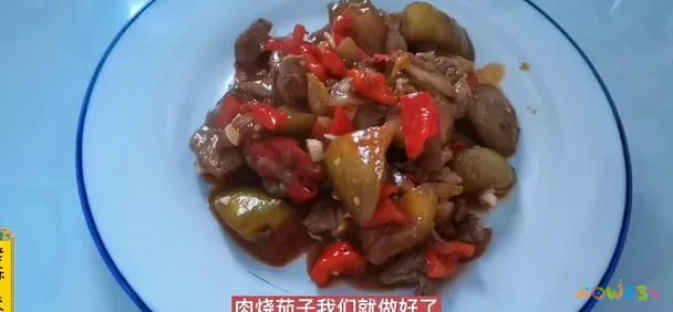 肉沫茄子的做法 家常_肉炒茄子家常做法大全_肉烧茄子的家常做法