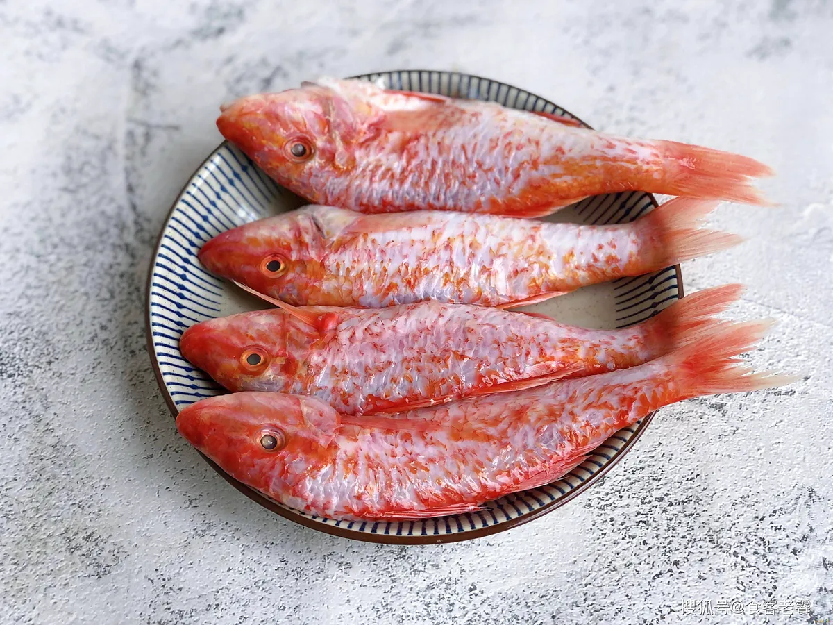 炖豆腐家常做法草鱼窍门_炖豆腐家常做法草鱼视频_草鱼炖豆腐的家常做法